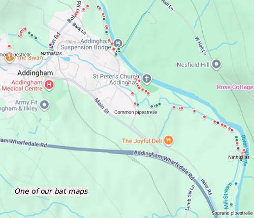 Bat map