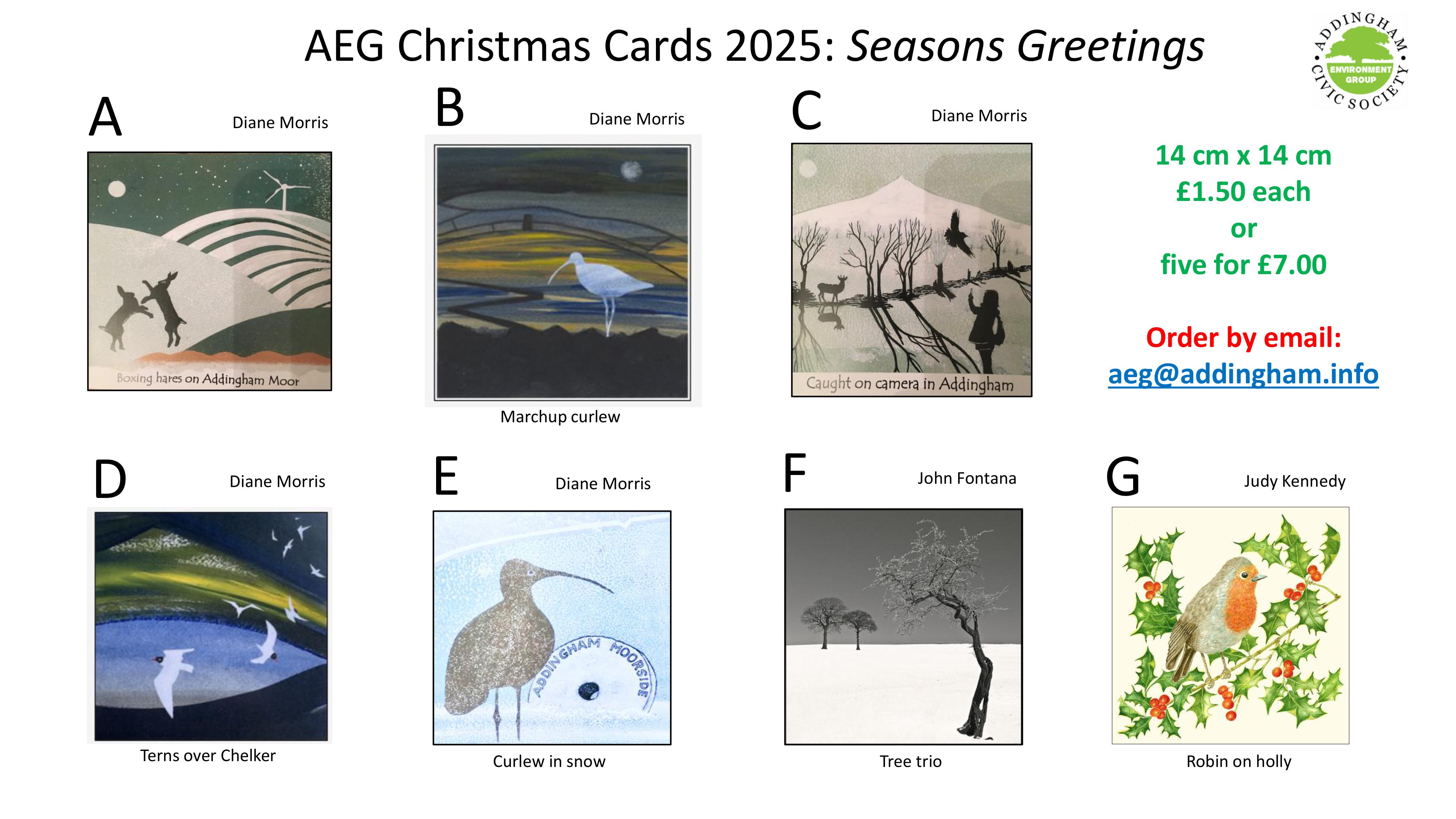 AEG Christmas Cards 2025