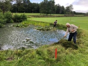 Golf Club Clearance