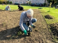 Seed Planting