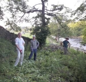 Wharfe Clearance