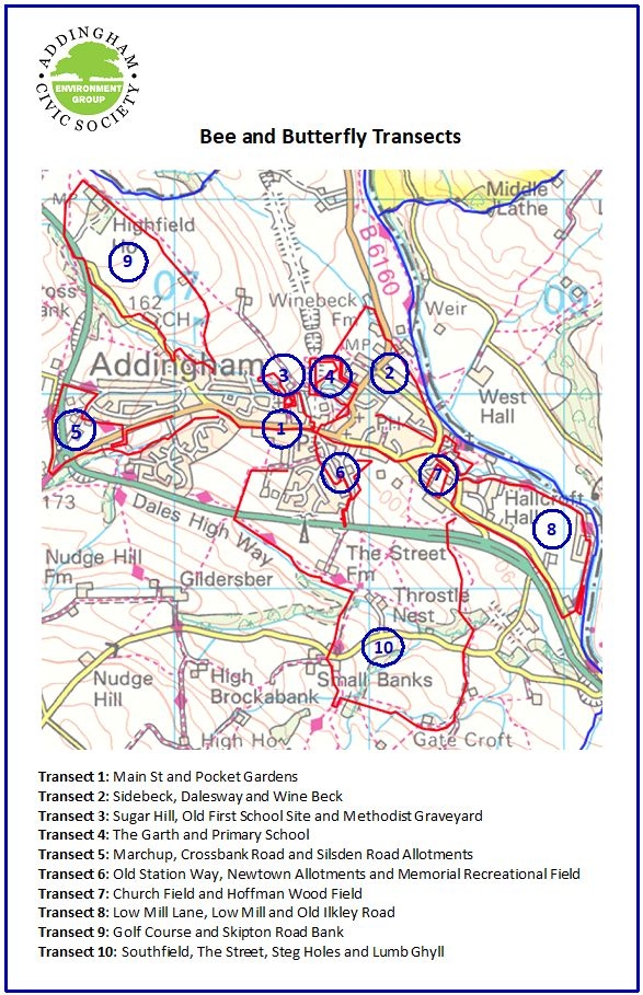 Bee and Butterfly Transects