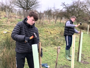 Tree & Hedgerow Planting