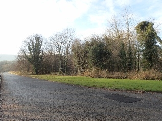 Low Mill - Looking south along Old Lane