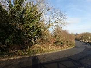 Low Mill - Looking north along Old Lane