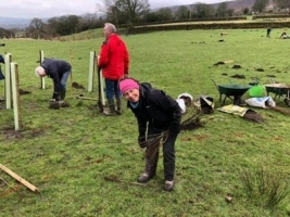 Tree Planting