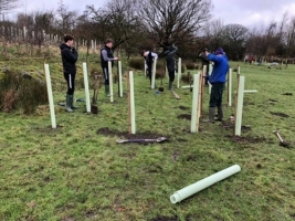 Tree Planting