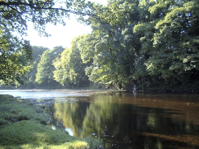 The River Wharfe